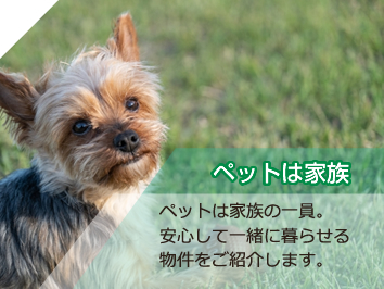 ペット可物件